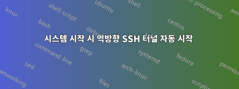 시스템 시작 시 역방향 SSH 터널 자동 시작