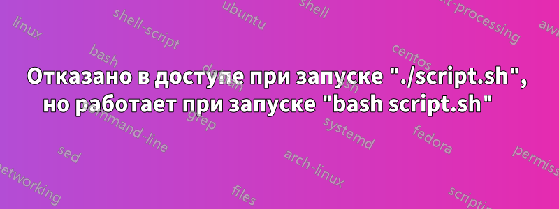 Отказано в доступе при запуске "./script.sh", но работает при запуске "bash script.sh" 