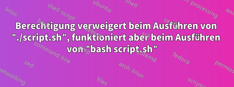 Berechtigung verweigert beim Ausführen von "./script.sh", funktioniert aber beim Ausführen von "bash script.sh" 