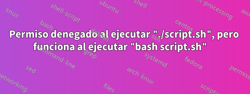 Permiso denegado al ejecutar "./script.sh", pero funciona al ejecutar "bash script.sh" 