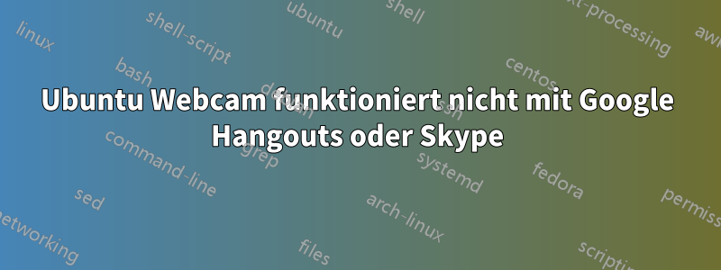 Ubuntu Webcam funktioniert nicht mit Google Hangouts oder Skype