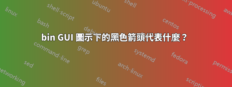 bin GUI 圖示下的黑色箭頭代表什麼？