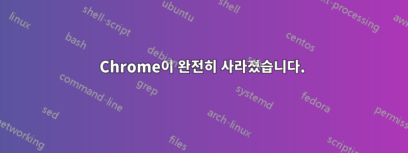 Chrome이 완전히 사라졌습니다.