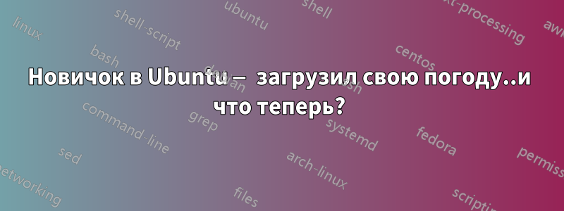 Новичок в Ubuntu — загрузил свою погоду..и что теперь?