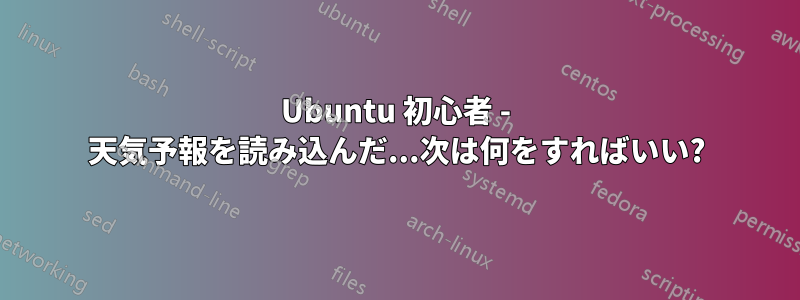 Ubuntu 初心者 - 天気予報を読み込んだ...次は何をすればいい?