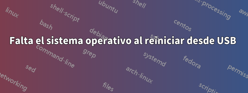 Falta el sistema operativo al reiniciar desde USB