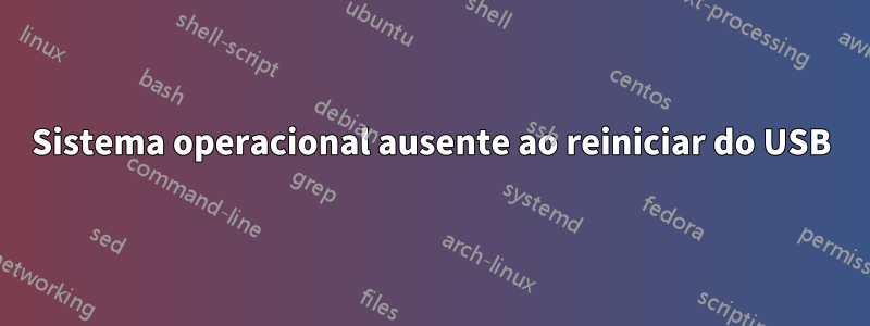 Sistema operacional ausente ao reiniciar do USB