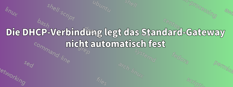 Die DHCP-Verbindung legt das Standard-Gateway nicht automatisch fest