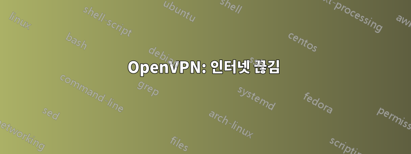 OpenVPN: 인터넷 끊김