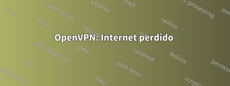 OpenVPN: Internet perdido