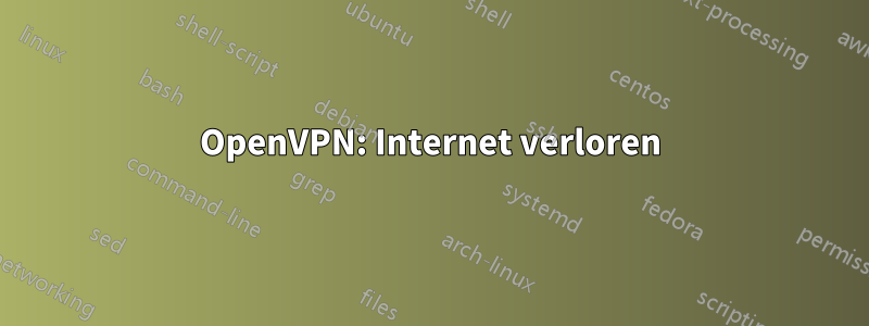 OpenVPN: Internet verloren