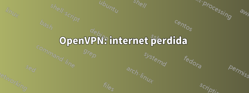 OpenVPN: internet perdida