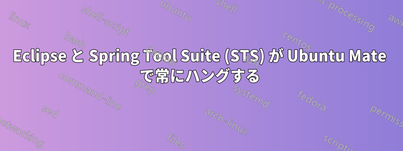 Eclipse と Spring Tool Suite (STS) が Ubuntu Mate で常にハングする