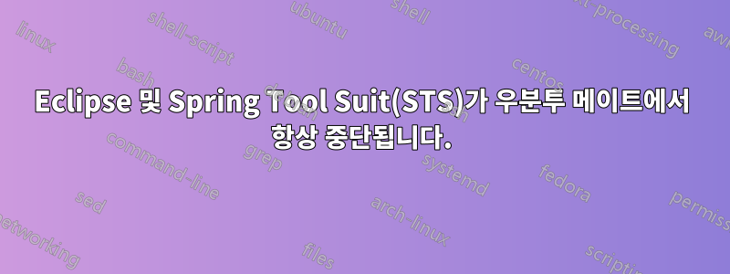Eclipse 및 Spring Tool Suit(STS)가 우분투 메이트에서 항상 중단됩니다.