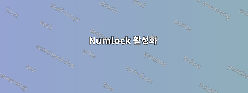 Numlock 활성화