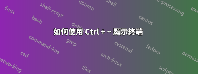如何使用 Ctrl + ~ 顯示終端