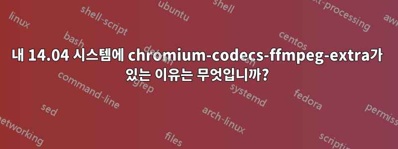 내 14.04 시스템에 chromium-codecs-ffmpeg-extra가 있는 이유는 무엇입니까?