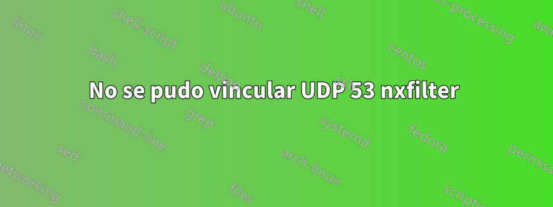 No se pudo vincular UDP 53 nxfilter
