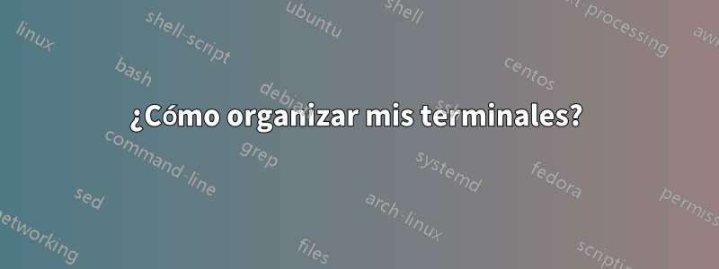 ¿Cómo organizar mis terminales?