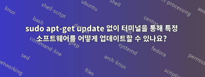 sudo apt-get update 없이 터미널을 통해 특정 소프트웨어를 어떻게 업데이트할 수 있나요?