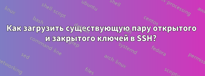 Как загрузить существующую пару открытого и закрытого ключей в SSH? 