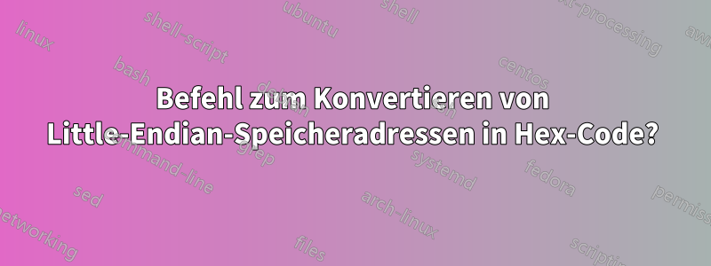 Befehl zum Konvertieren von Little-Endian-Speicheradressen in Hex-Code?