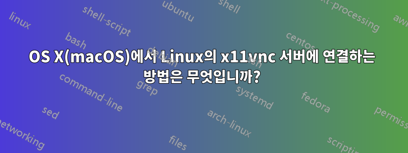 OS X(macOS)에서 Linux의 x11vnc 서버에 연결하는 방법은 무엇입니까?