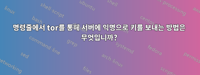 명령줄에서 tor를 통해 서버에 익명으로 키를 보내는 방법은 무엇입니까?