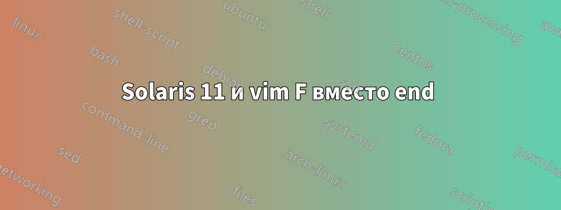 Solaris 11 и vim F вместо end