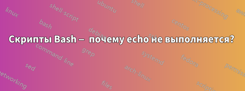 Скрипты Bash — почему echo не выполняется?