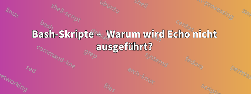 Bash-Skripte – Warum wird Echo nicht ausgeführt?