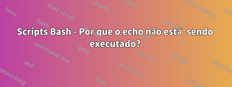 Scripts Bash - Por que o echo não está sendo executado?