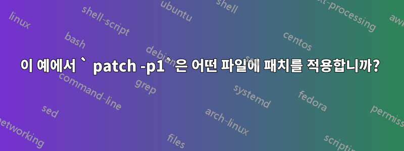 이 예에서 ` patch -p1`은 어떤 파일에 패치를 적용합니까?