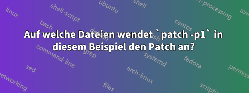 Auf welche Dateien wendet `patch -p1` in diesem Beispiel den Patch an?