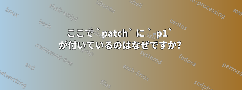 ここで `patch` に `-p1` が付いているのはなぜですか?