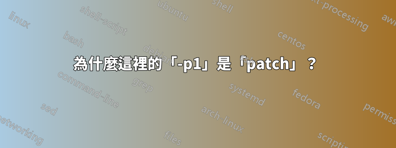 為什麼這裡的「-p1」是「patch」？