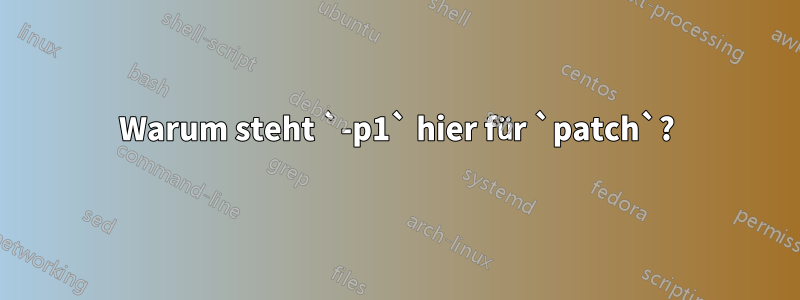 Warum steht `-p1` hier für `patch`?