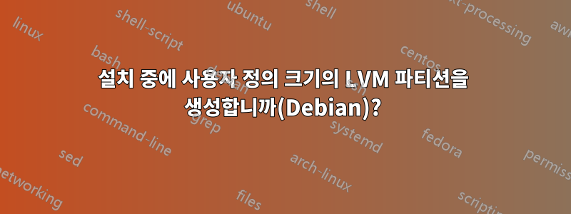 설치 중에 사용자 정의 크기의 LVM 파티션을 생성합니까(Debian)?