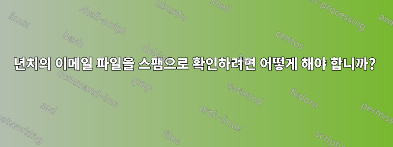 12년치의 이메일 파일을 스팸으로 확인하려면 어떻게 해야 합니까?