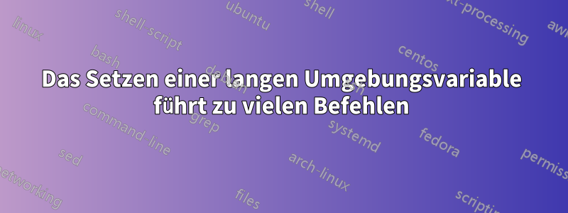 Das Setzen einer langen Umgebungsvariable führt zu vielen Befehlen