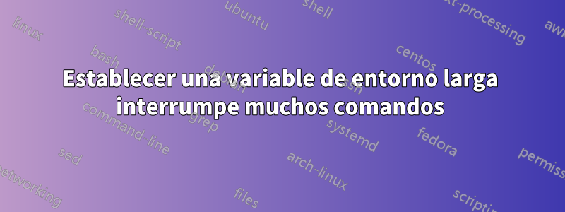 Establecer una variable de entorno larga interrumpe muchos comandos