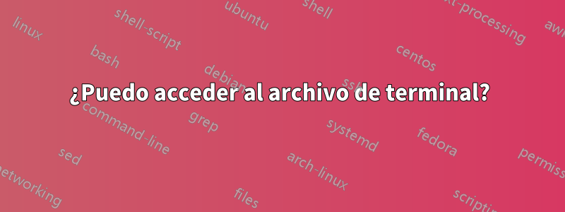 ¿Puedo acceder al archivo de terminal?