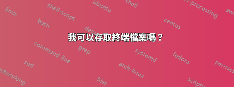 我可以存取終端檔案嗎？