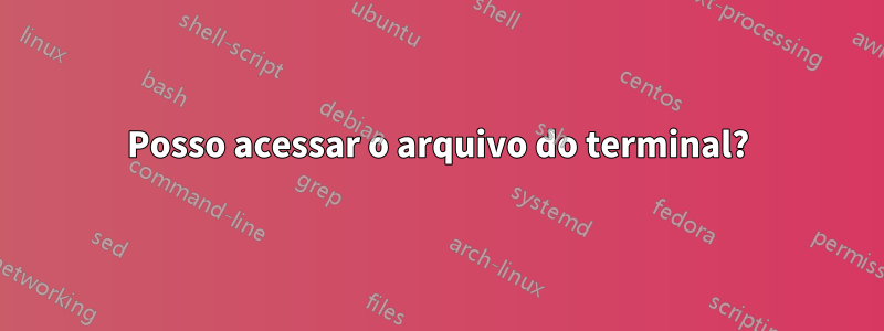 Posso acessar o arquivo do terminal?