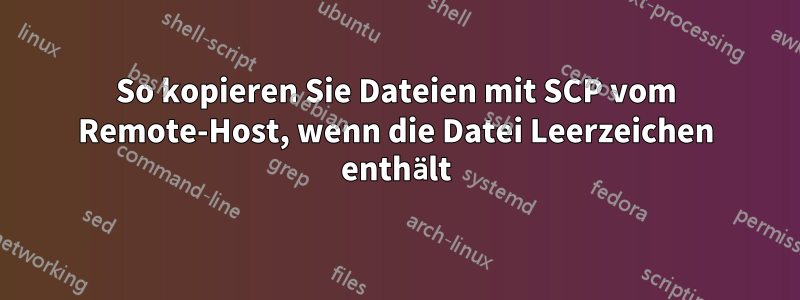 So kopieren Sie Dateien mit SCP vom Remote-Host, wenn die Datei Leerzeichen enthält