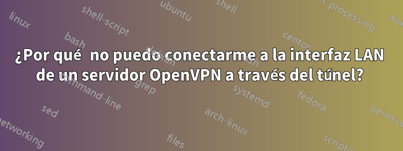 ¿Por qué no puedo conectarme a la interfaz LAN de un servidor OpenVPN a través del túnel?