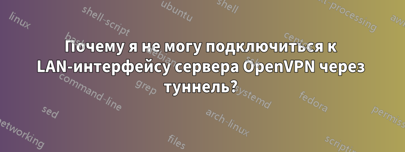 Почему я не могу подключиться к LAN-интерфейсу сервера OpenVPN через туннель?