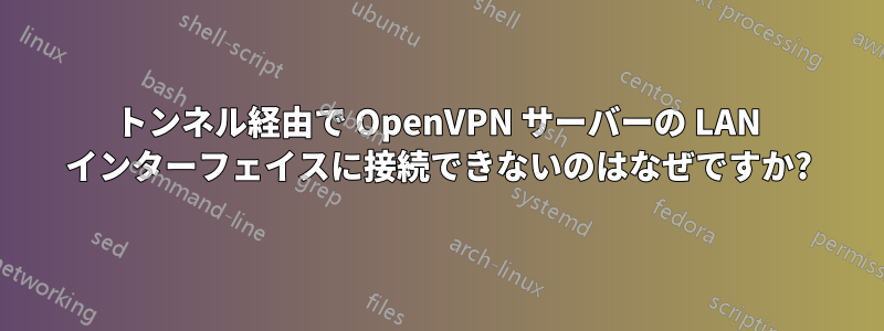 トンネル経由で OpenVPN サーバーの LAN インターフェイスに接続できないのはなぜですか?