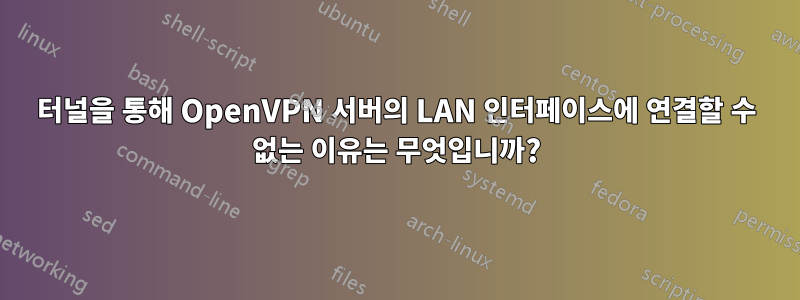 터널을 통해 OpenVPN 서버의 LAN 인터페이스에 연결할 수 없는 이유는 무엇입니까?