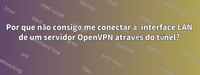 Por que não consigo me conectar à interface LAN de um servidor OpenVPN através do túnel?